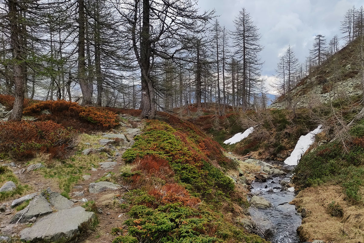 Escursione in Val Bognanco