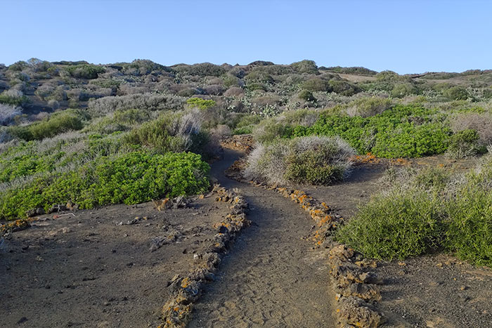 Sentiero del Monte Vulcano