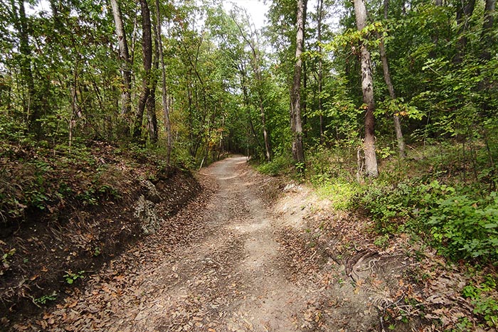 Sentiero del Tidone in MTB