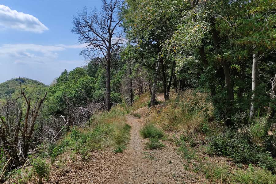 Salita Monte Martica in MTB