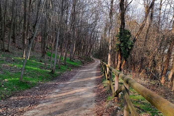 Pista ciclabile valle Olona