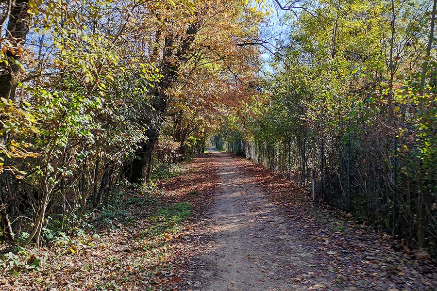 Pista ciclabile del lago di Varese