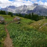 Trekking Alpe Devero