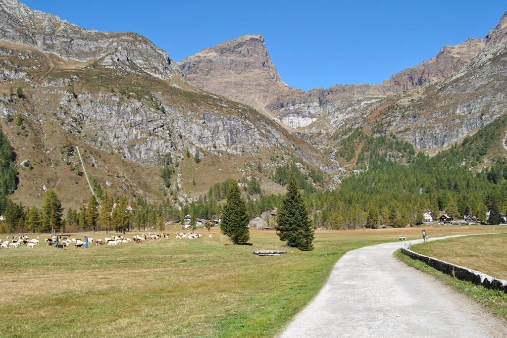 Piana del Devero