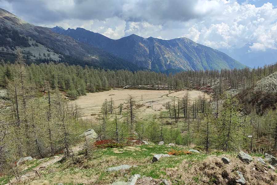 Val Bognanco - passerella in legno