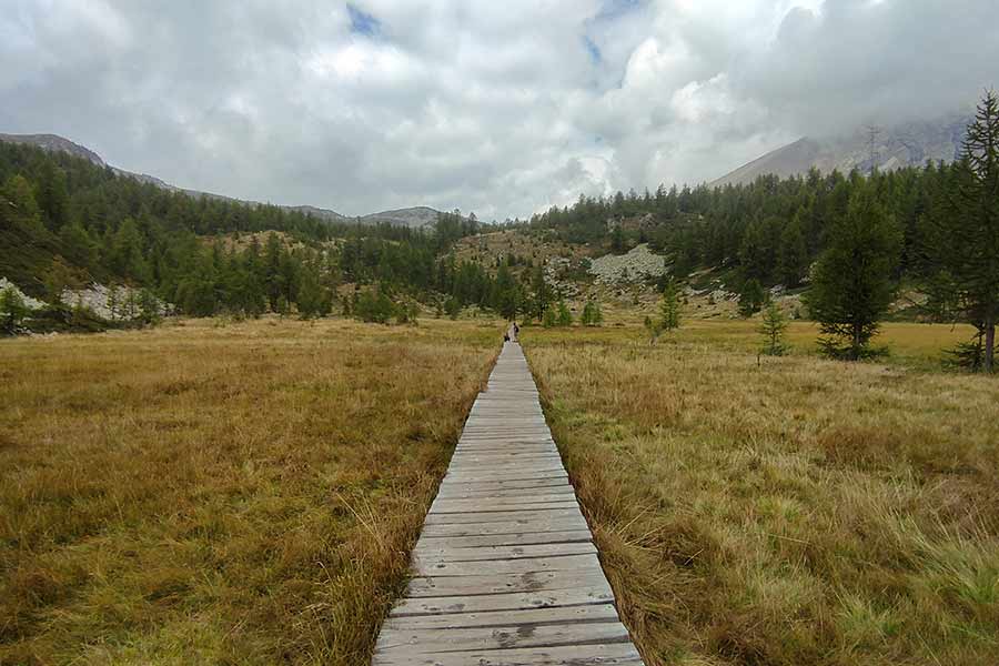 Val Bognanco - passerella in legno