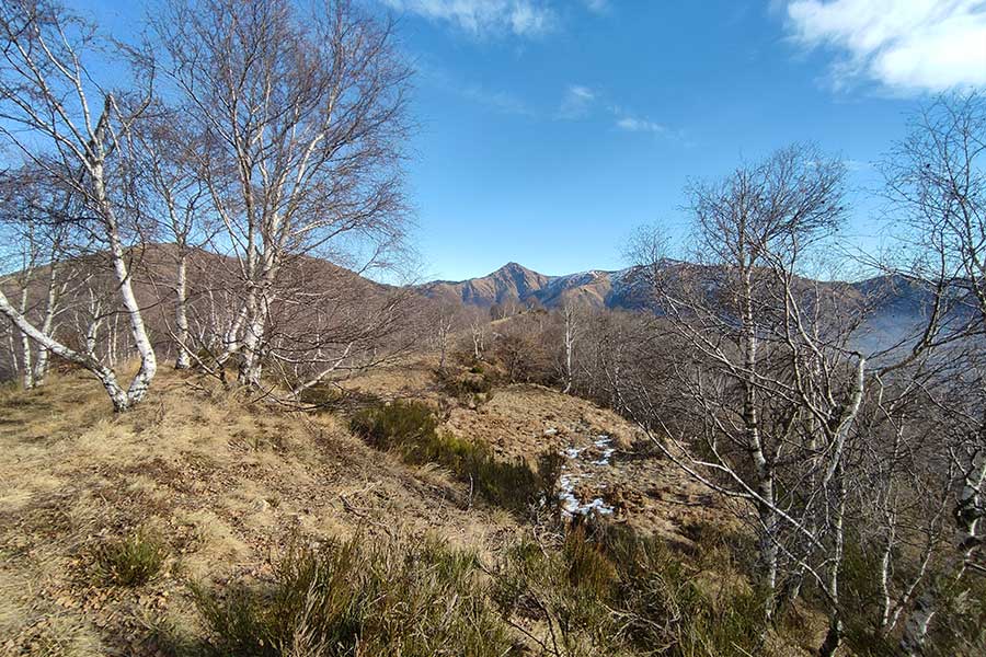 Trekking al Monte Paglione in Val Veddasca