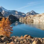 Trekking in Valmalenco: il lago Pirola e il larice millenario