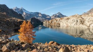 Trekking in Valmalenco: il lago Pirola e il larice millenario