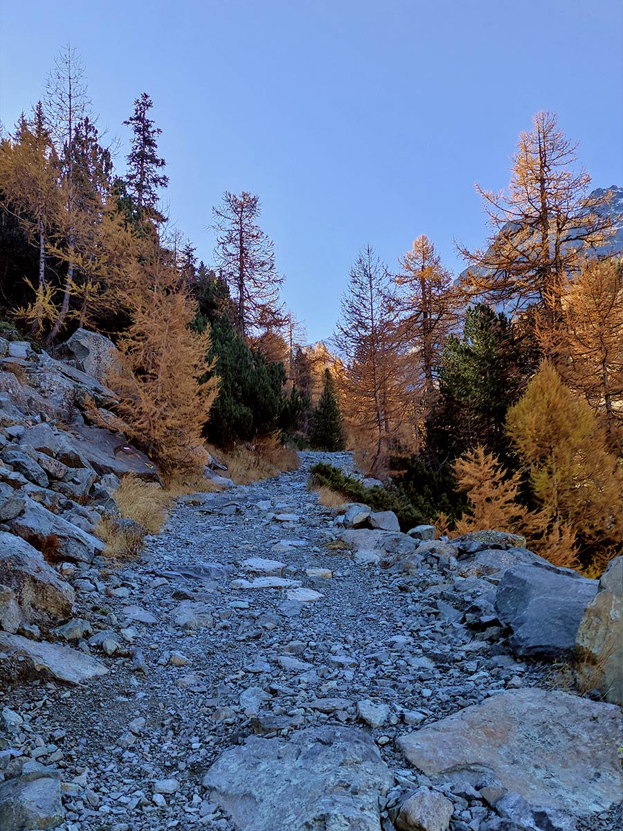 Trekking in Valmalenco - Lago Pirola