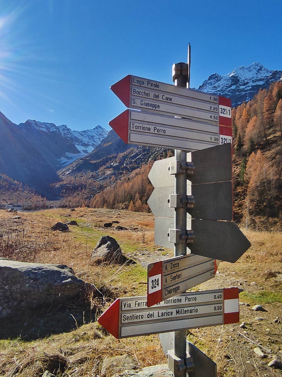 Trekking in Valmalenco - Sentiero del Larice Millenario