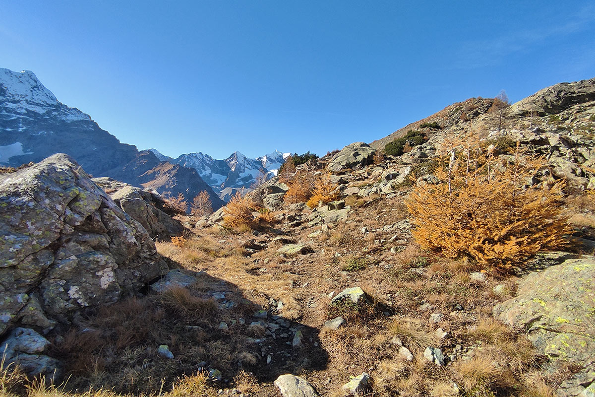 Trekking in Valmalenco - Lago Pirola