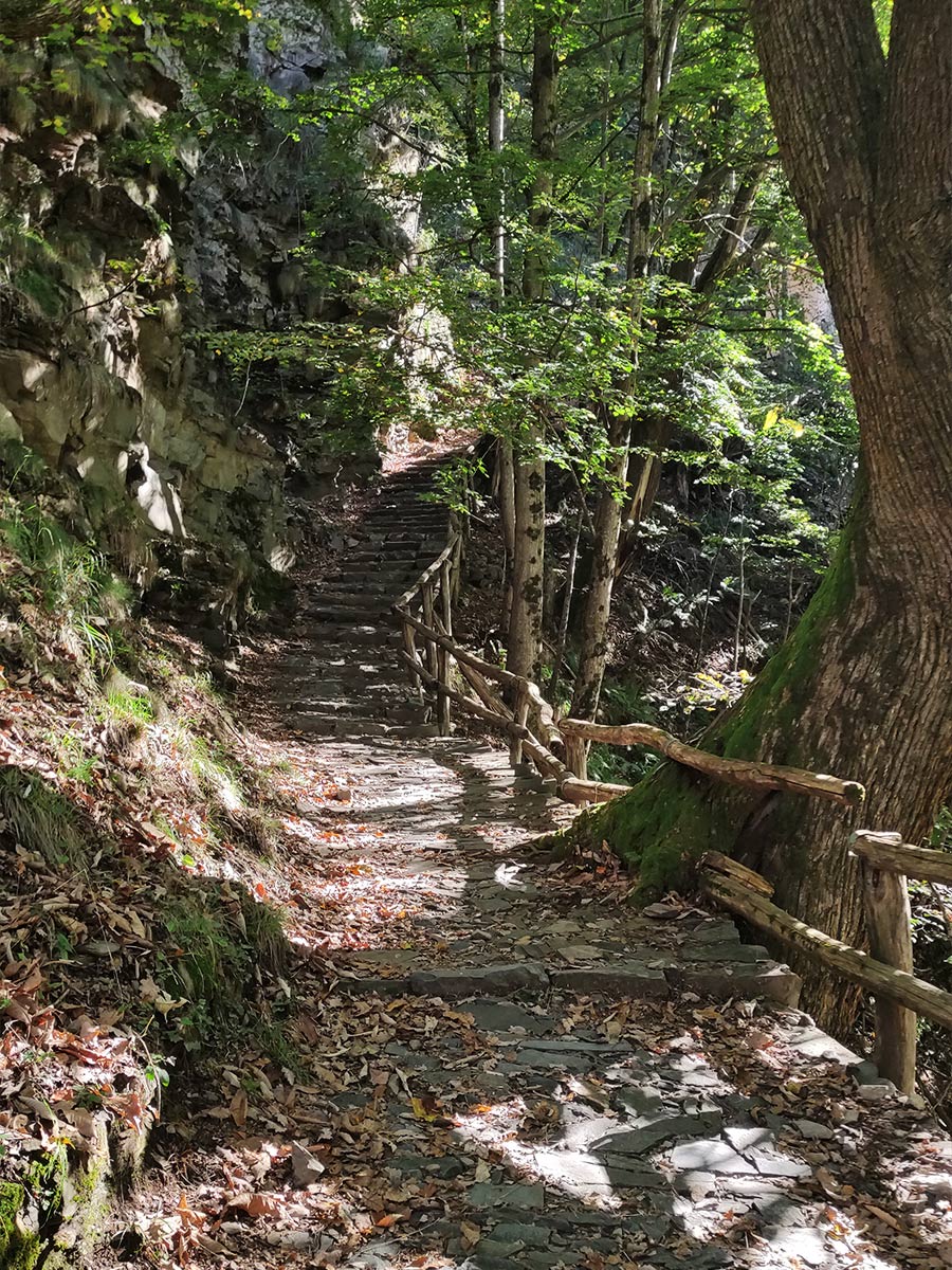 Trekking a Monteviasco - Mulattiera