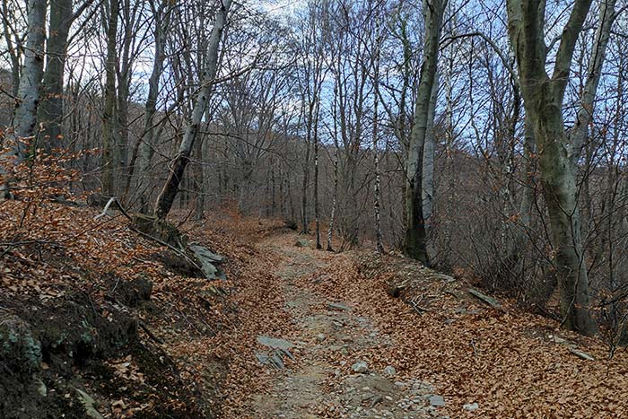 Trekking al forte di Orino