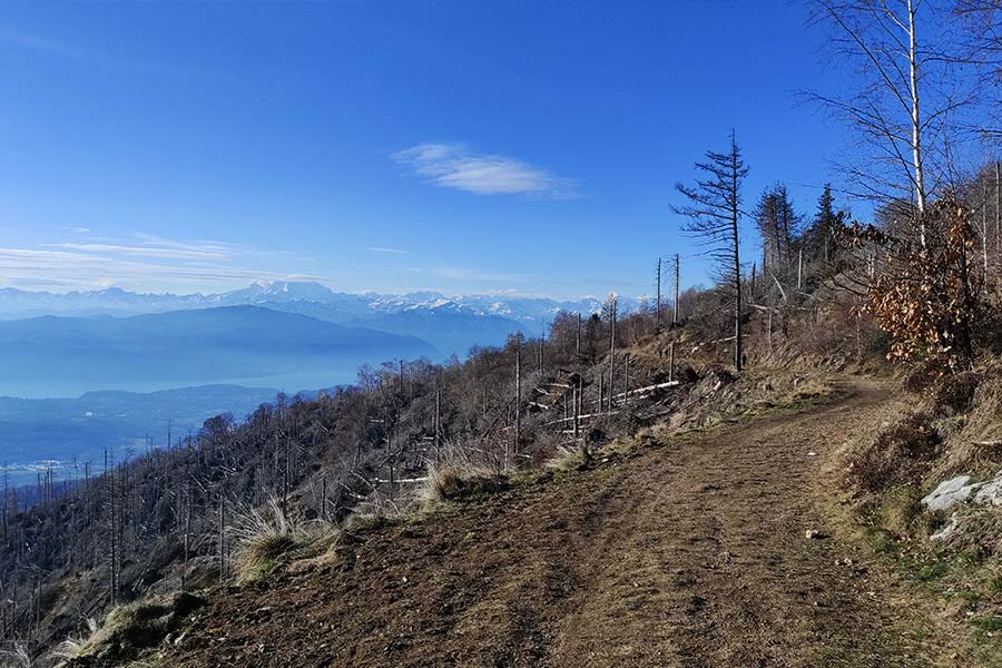 Sentiero in piano per il Forte di Orino