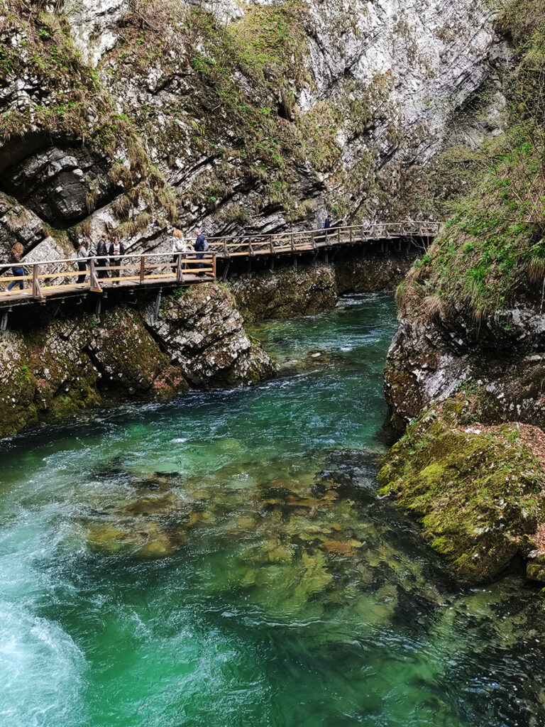 Trekking alla gola di Vintgar