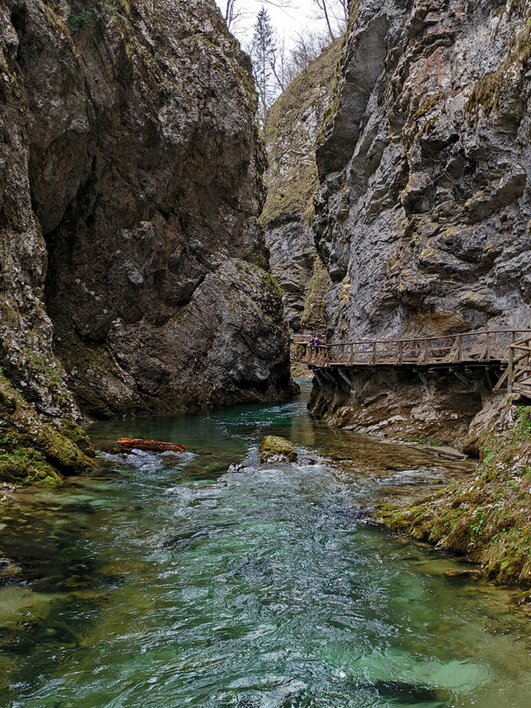 Trekking alla gola di Vintgar