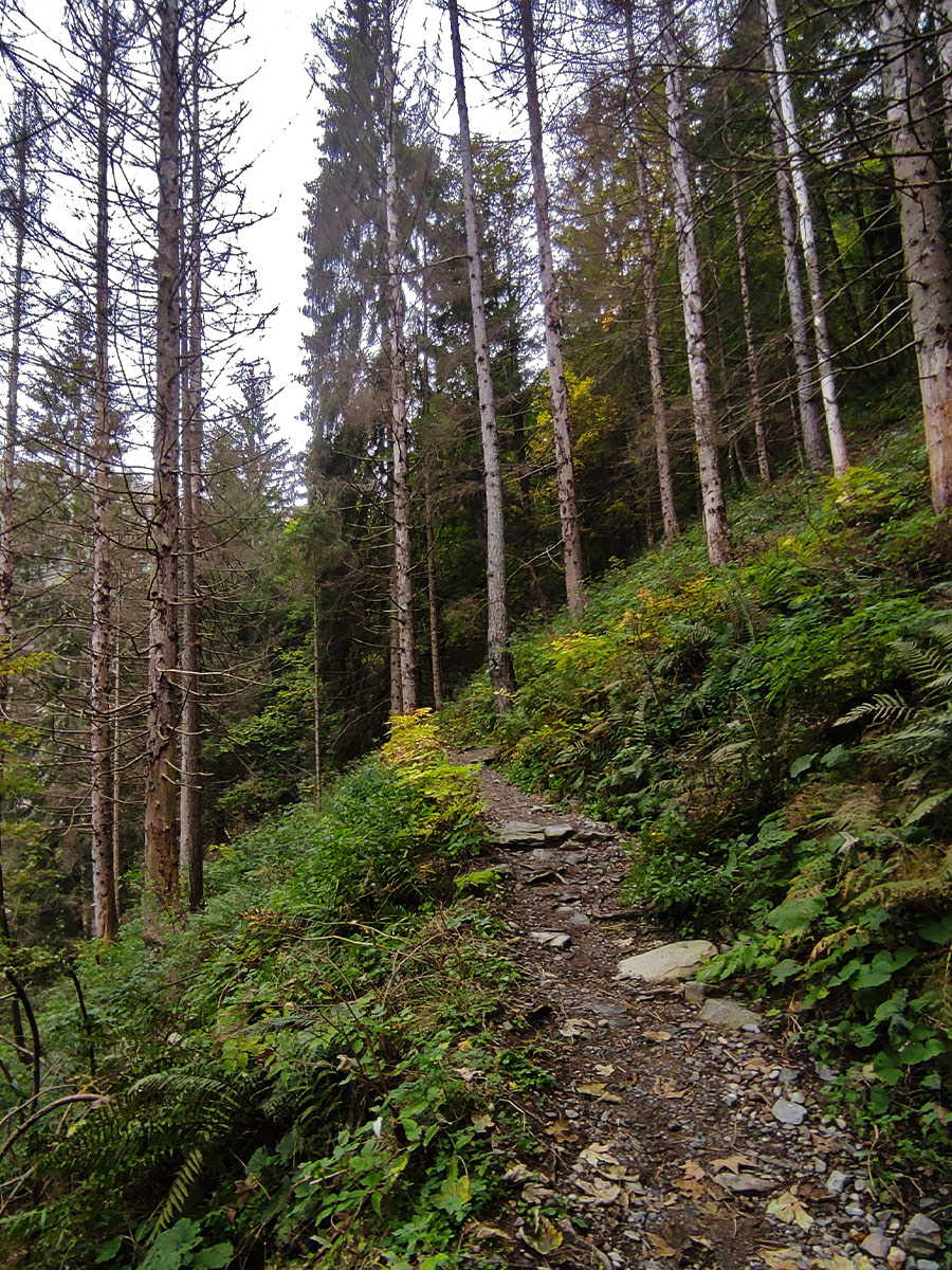 Trekking ai laghi Gemelli da Carona