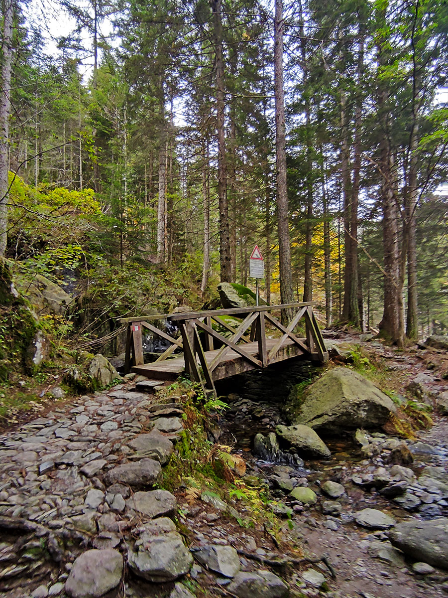 Trekking ai laghi Gemelli da Carona