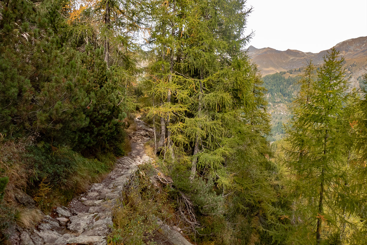 Trekking ai laghi Gemelli da Carona