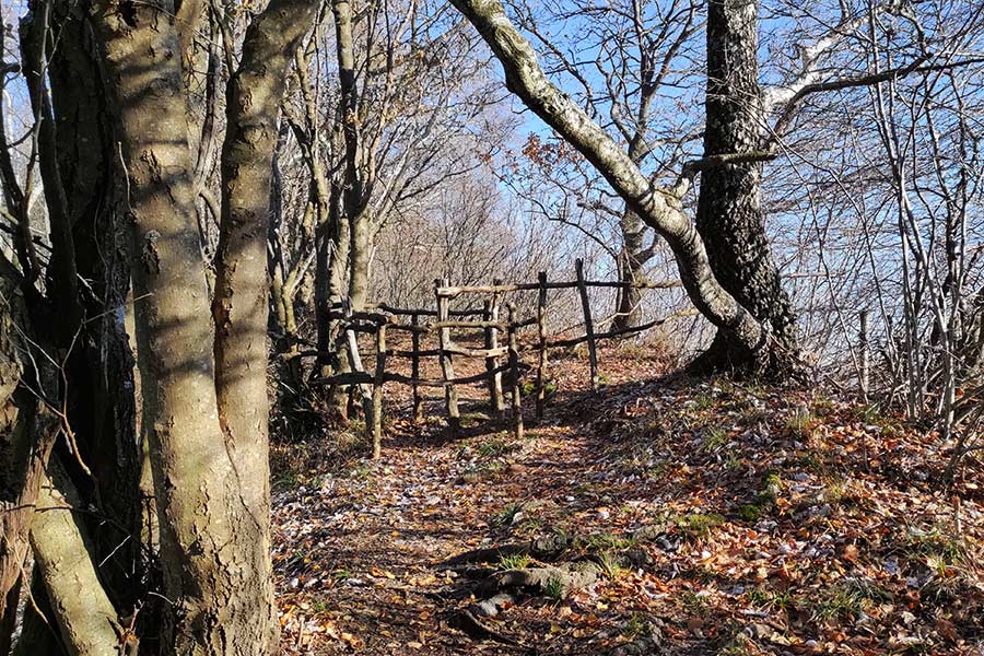 Escursione invernale al Monte San Primo