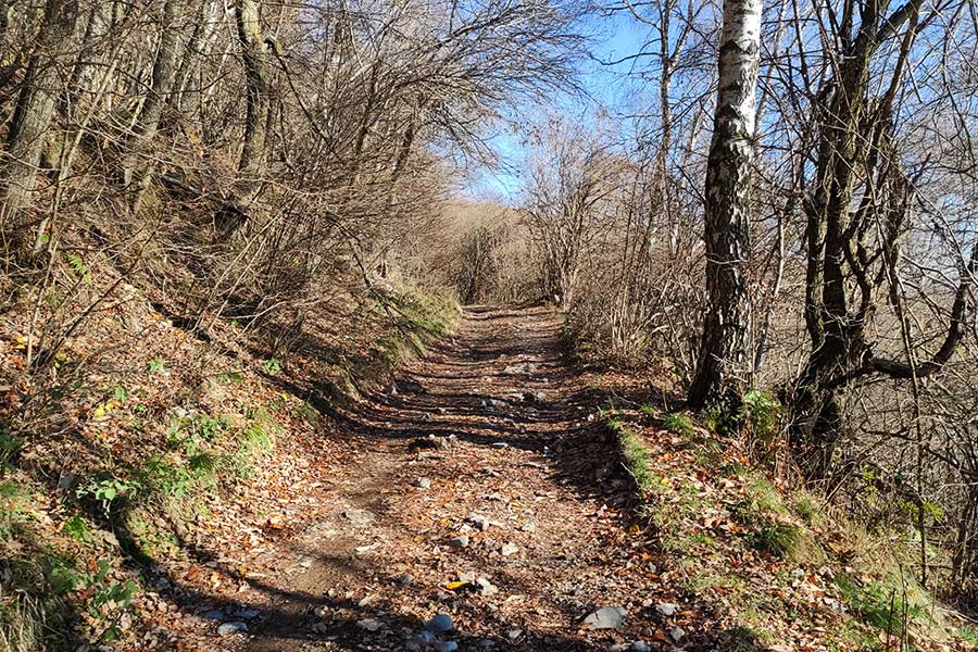 Escursione invernale al Monte San Primo