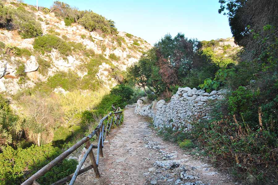 Trekking sentiero delle Cipolliane