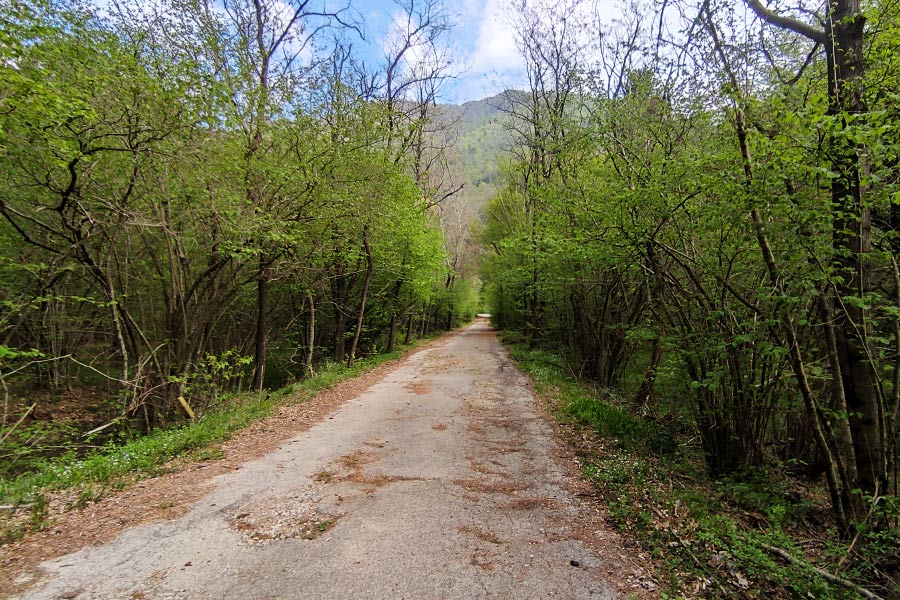 Pista ciclabile della Valganna