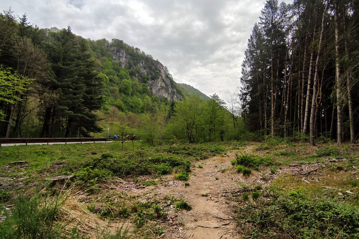 Pista ciclabile della Valganna