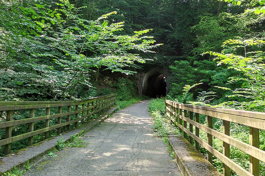 Pista ciclabile della Valganna e Valmarchirolo - Gallerie