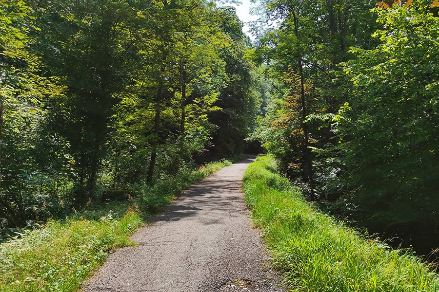 Pista ciclabile della Valganna e Valmarchirolo