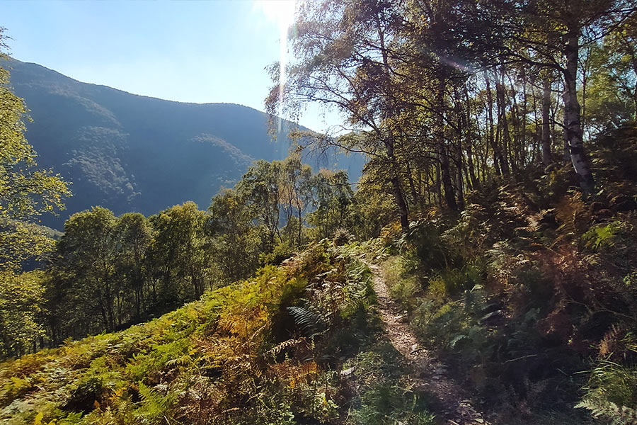 Trekking a Monteviasco: mulattiera verso il Monte Polà