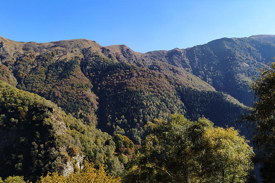 Vista sull'Alpone di Curiglia