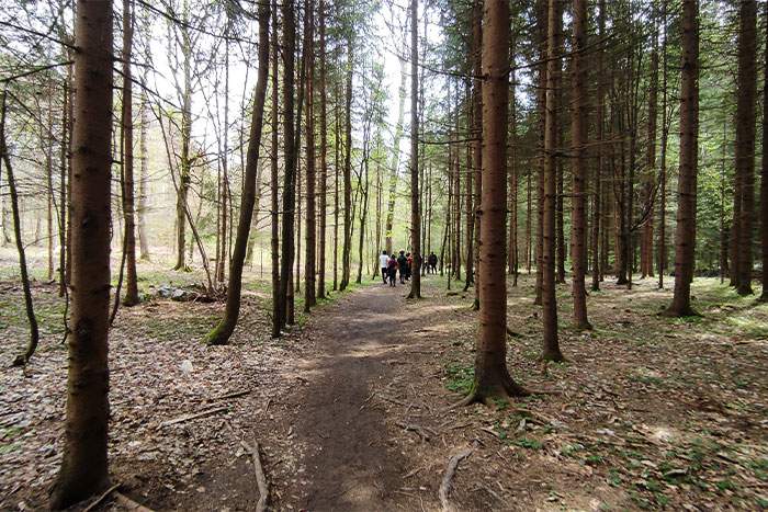 Trekking in Slovenia: percorso Vintgar - Santa Caterina