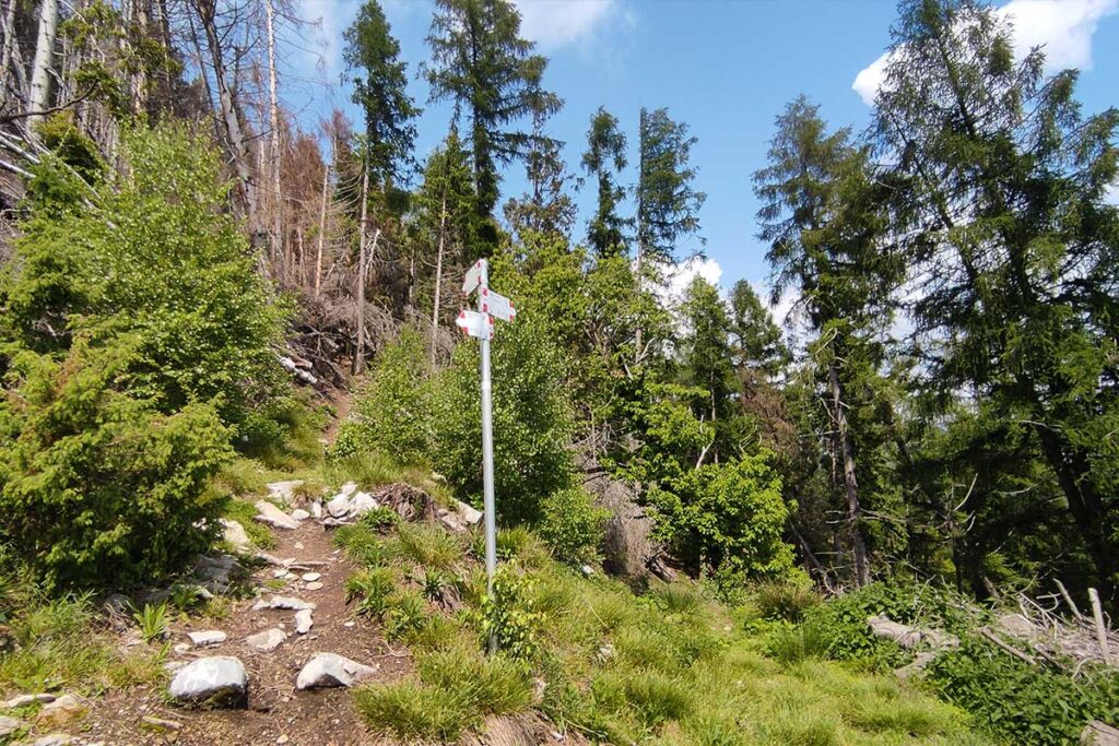 Trekking al Monte Nudo in provincia di Varese