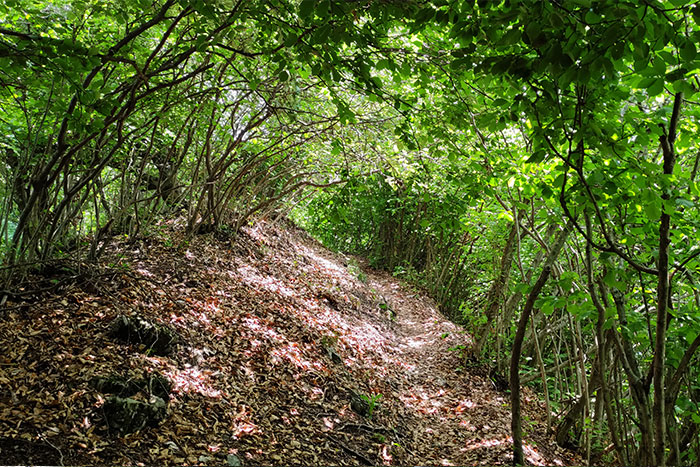 Trekking ai Pizzoni di Laveno e Monte Nudo