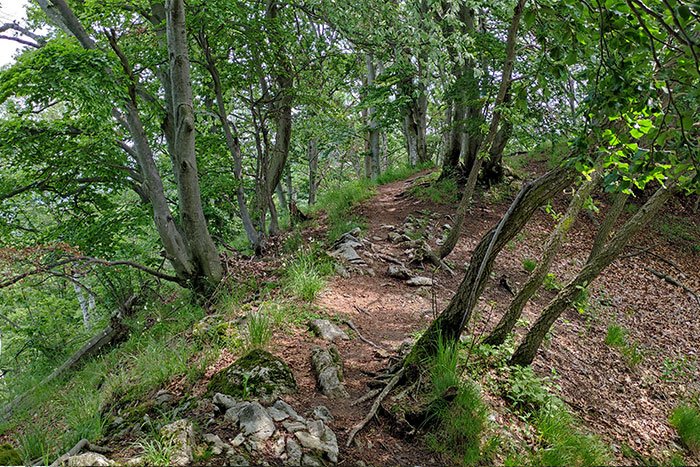 Trekking ai Pizzoni di Laveno e Monte Nudo