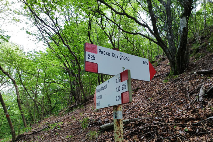 Trekking ai Pizzoni di Laveno e Monte Nudo