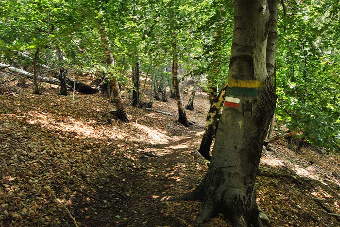 Trekking ai Pizzoni di Laveno e Monte Nudo