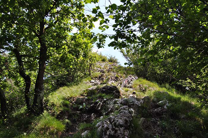 Trekking ai Pizzoni di Laveno e Monte Nudo